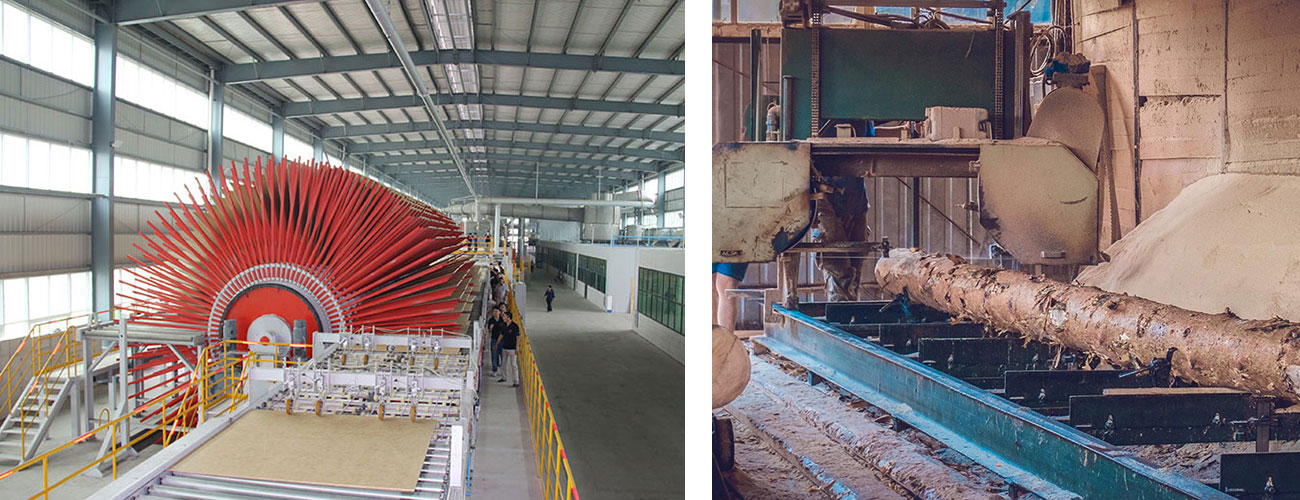 20250305170920284 20250305170920284