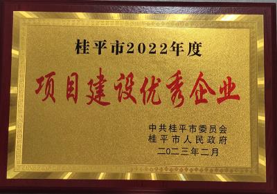 项目建设优秀企业