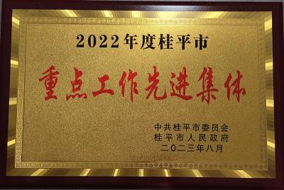 重点工作先进集体